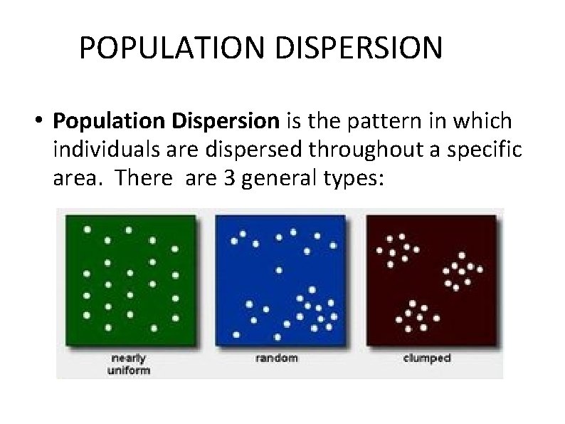 POPULATION DISPERSION • Population Dispersion is the pattern in which individuals are dispersed throughout