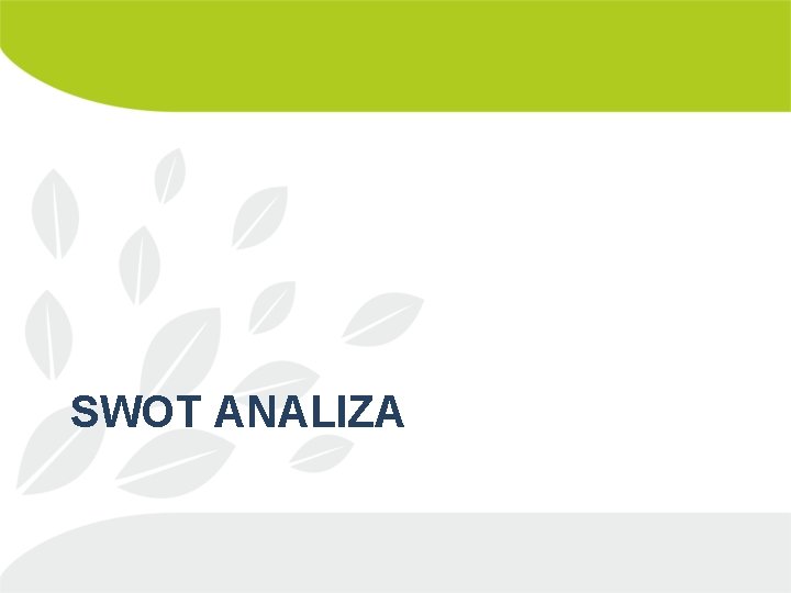 SWOT ANALIZA 