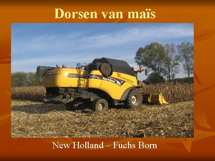 Dorsen van maïs New Holland – Fuchs Born 