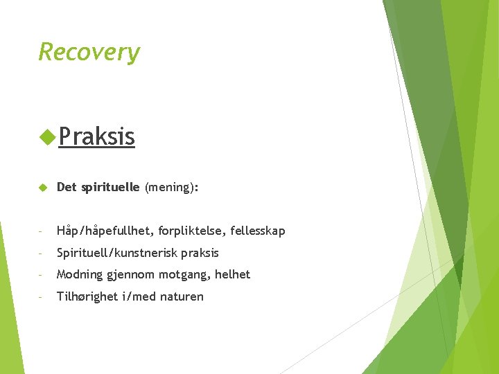 Recovery Praksis Det spirituelle (mening): - Håp/håpefullhet, forpliktelse, fellesskap - Spirituell/kunstnerisk praksis - Modning