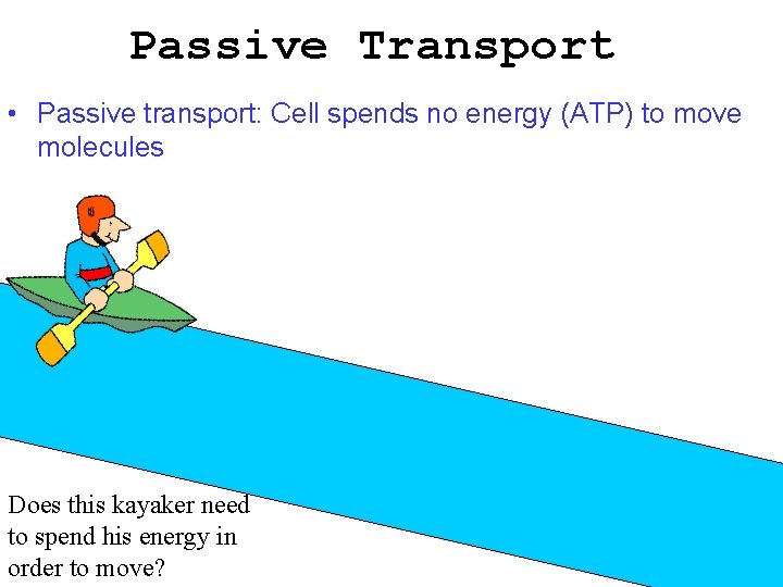 Passive Transport • Passive transport: Cell spends no energy (ATP) to move molecules Does