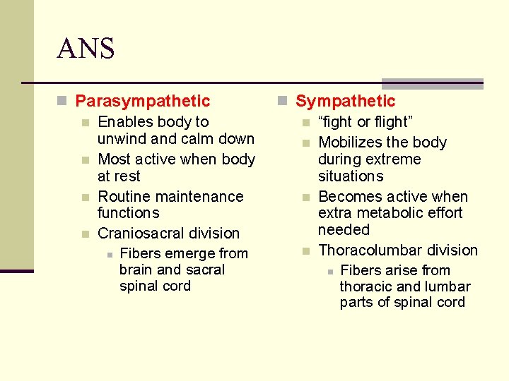 ANS n Parasympathetic n Enables body to unwind and calm down n Most active