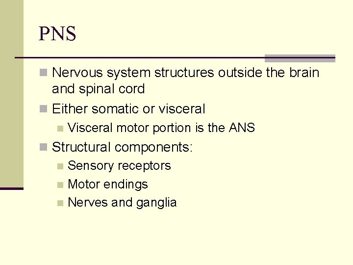 PNS n Nervous system structures outside the brain and spinal cord n Either somatic