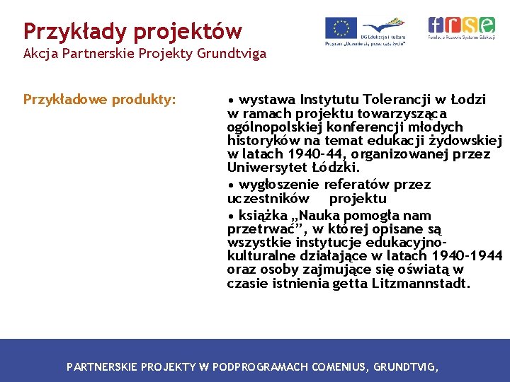 Przykłady projektów Akcja Partnerskie Projekty Grundtviga Przykładowe produkty: • wystawa Instytutu Tolerancji w Łodzi