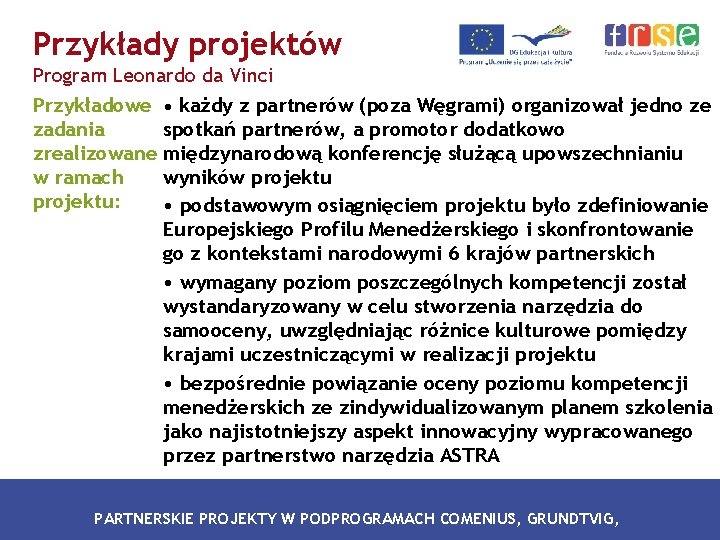 Przykłady projektów Program Leonardo da Vinci Przykładowe • każdy z partnerów (poza Węgrami) organizował