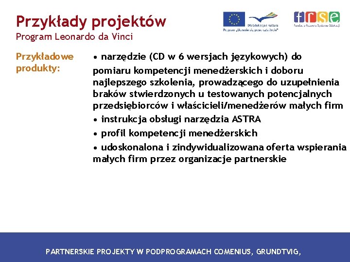 Przykłady projektów Program Leonardo da Vinci Przykładowe produkty: • narzędzie (CD w 6 wersjach