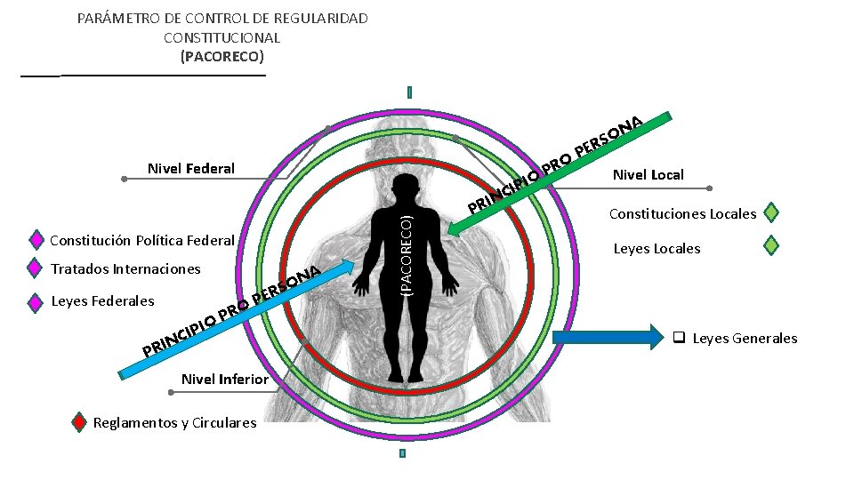 PARÁMETRO DE CONTROL DE REGULARIDAD CONSTITUCIONAL (PACORECO) NA O S R O Nivel Federal