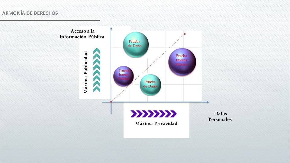 ARMONÍA DE DERECHOS 
