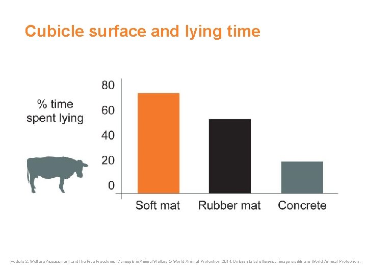 Cubicle surface and lying time Module 2: Welfare Assessment and the Five Freedoms Concepts Cubicle surface and lying time Module 2: Welfare Assessment and the Five Freedoms Concepts