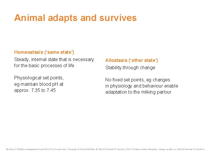 Animal adapts and survives Homeostasis (‘same state’) Steady, internal state that is necessary for Animal adapts and survives Homeostasis (‘same state’) Steady, internal state that is necessary for
