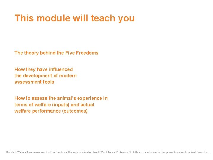 This module will teach you The theory behind the Five Freedoms How they have This module will teach you The theory behind the Five Freedoms How they have