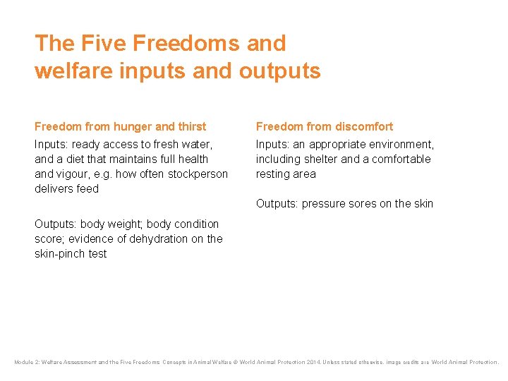 The Five Freedoms and welfare inputs and outputs Freedom from hunger and thirst Freedom The Five Freedoms and welfare inputs and outputs Freedom from hunger and thirst Freedom