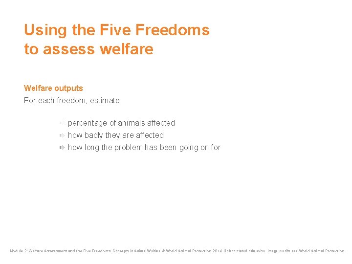 Using the Five Freedoms to assess welfare Welfare outputs For each freedom, estimate percentage Using the Five Freedoms to assess welfare Welfare outputs For each freedom, estimate percentage