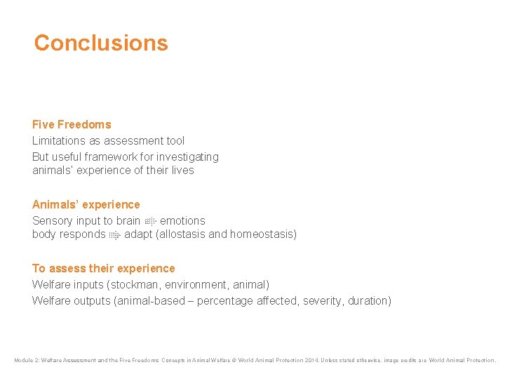 Conclusions Five Freedoms Limitations as assessment tool But useful framework for investigating animals’ experience Conclusions Five Freedoms Limitations as assessment tool But useful framework for investigating animals’ experience