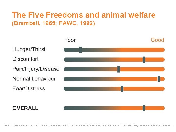 The Five Freedoms and animal welfare (Brambell, 1965; FAWC, 1992) Module 2: Welfare Assessment The Five Freedoms and animal welfare (Brambell, 1965; FAWC, 1992) Module 2: Welfare Assessment