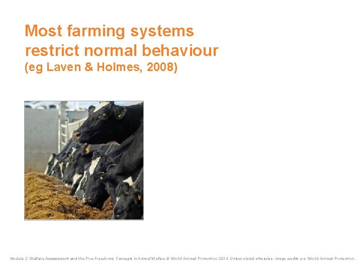 Most farming systems restrict normal behaviour (eg Laven & Holmes, 2008) Module 2: Welfare Most farming systems restrict normal behaviour (eg Laven & Holmes, 2008) Module 2: Welfare