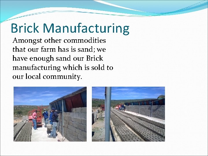 Brick Manufacturing Amongst other commodities that our farm has is sand; we have enough