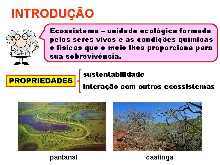 INTRODUÇÃO Ecossistema – unidade ecológica formada pelos seres vivos e as condições químicas e