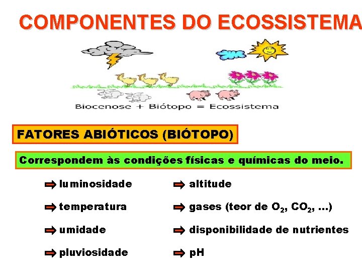 COMPONENTES DO ECOSSISTEMA FATORES ABIÓTICOS (BIÓTOPO) Correspondem às condições físicas e químicas do meio.