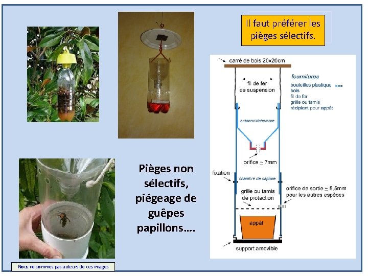 Il faut préférer les pièges sélectifs. Pièges non sélectifs, piégeage de de guêpes papillons….
