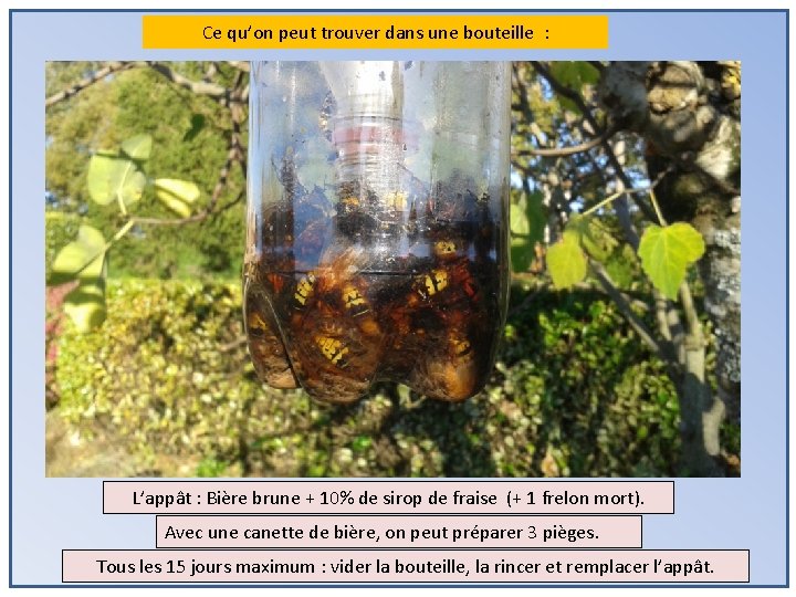 Ce qu’on peut trouver dans une bouteille : L’appât : Bière brune + 10%