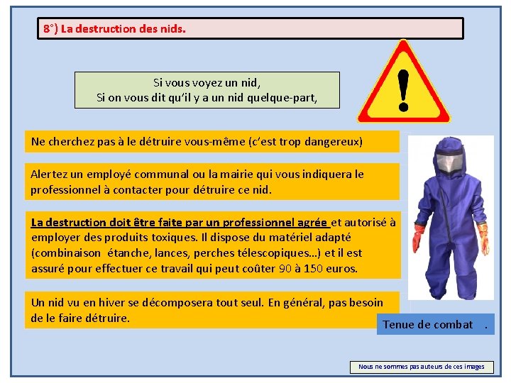 8°) La destruction des nids. Si vous voyez un nid, Si on vous dit
