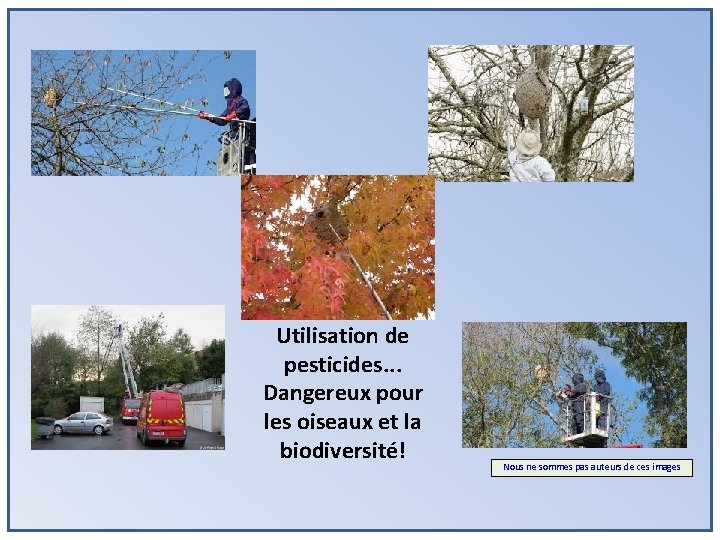 Utilisation de pesticides. . . Dangereux pour les oiseaux et la biodiversité! Nous ne