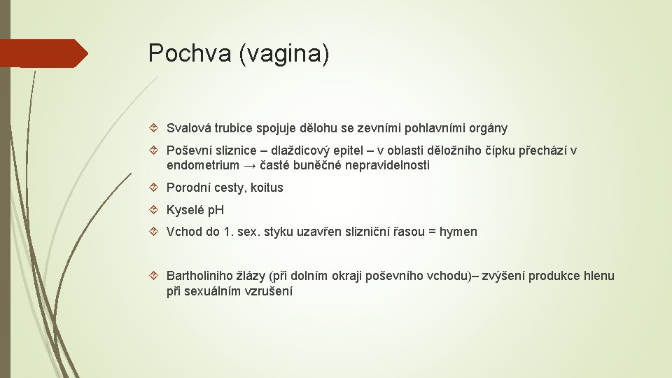 Pochva (vagina) Svalová trubice spojuje dělohu se zevními pohlavními orgány Poševní sliznice – dlaždicový