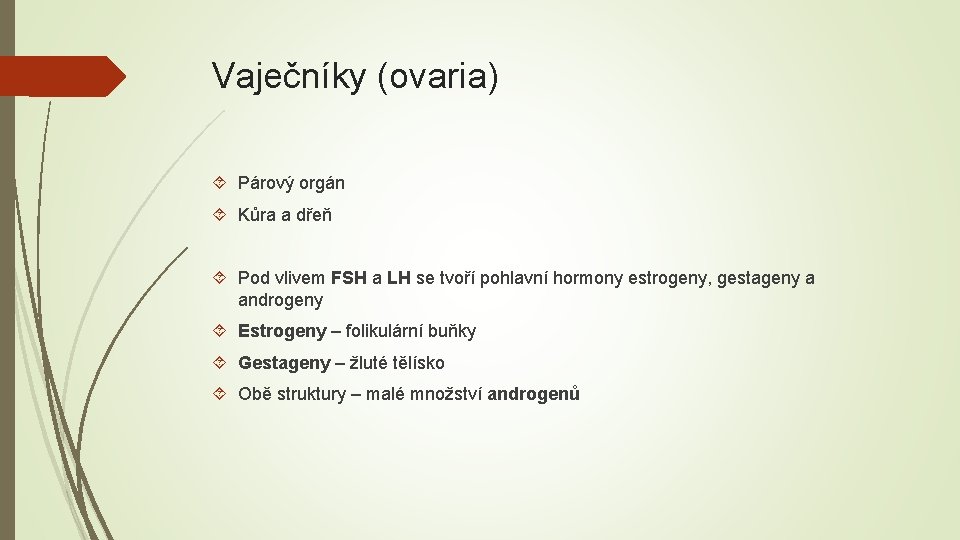 Vaječníky (ovaria) Párový orgán Kůra a dřeň Pod vlivem FSH a LH se tvoří