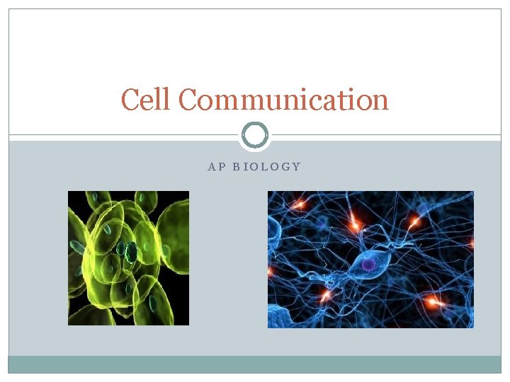 Cell Communication AP BIOLOGY 