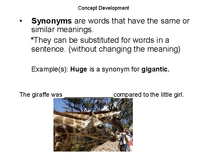 Synonym development What Is