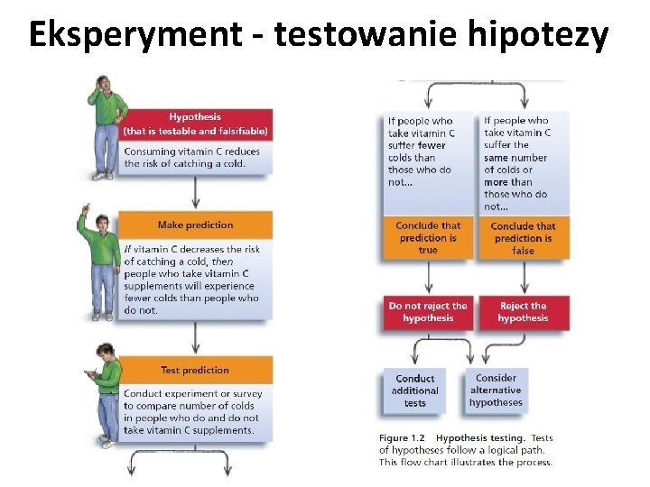 Eksperyment - testowanie hipotezy 