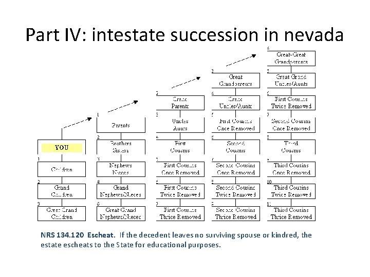Part IV: intestate succession in nevada NRS 134. 120 Escheat. If the decedent leaves Part IV: intestate succession in nevada NRS 134. 120 Escheat. If the decedent leaves