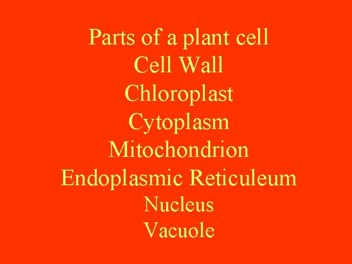 Parts of a plant cell Cell Wall Chloroplast Cytoplasm Mitochondrion Endoplasmic Reticuleum Nucleus Vacuole Parts of a plant cell Cell Wall Chloroplast Cytoplasm Mitochondrion Endoplasmic Reticuleum Nucleus Vacuole