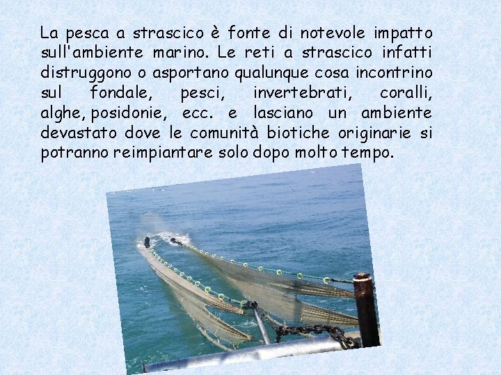La pesca a strascico è fonte di notevole impatto sull'ambiente marino. Le reti a La pesca a strascico è fonte di notevole impatto sull'ambiente marino. Le reti a