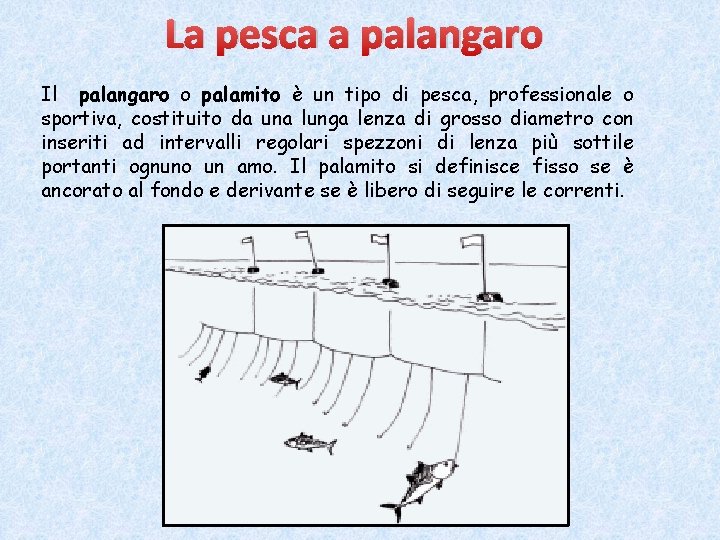 La pesca a palangaro Il palangaro o palamito è un tipo di pesca, professionale La pesca a palangaro Il palangaro o palamito è un tipo di pesca, professionale