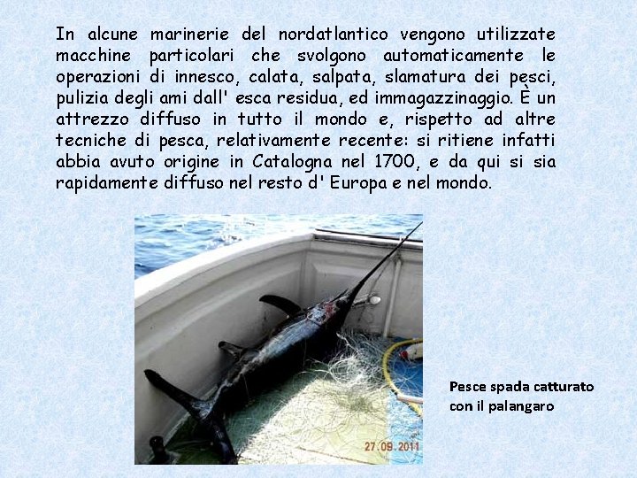 In alcune marinerie del nordatlantico vengono utilizzate macchine particolari che svolgono automaticamente le operazioni In alcune marinerie del nordatlantico vengono utilizzate macchine particolari che svolgono automaticamente le operazioni