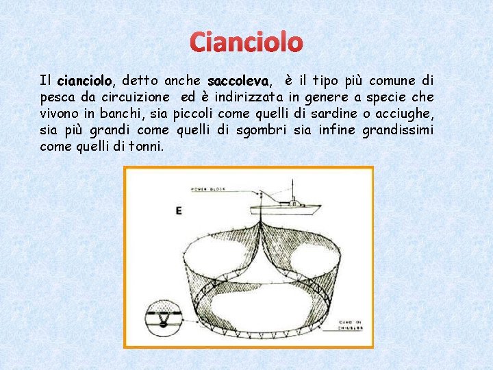 Cianciolo Il cianciolo, detto anche saccoleva, è il tipo più comune di pesca da Cianciolo Il cianciolo, detto anche saccoleva, è il tipo più comune di pesca da