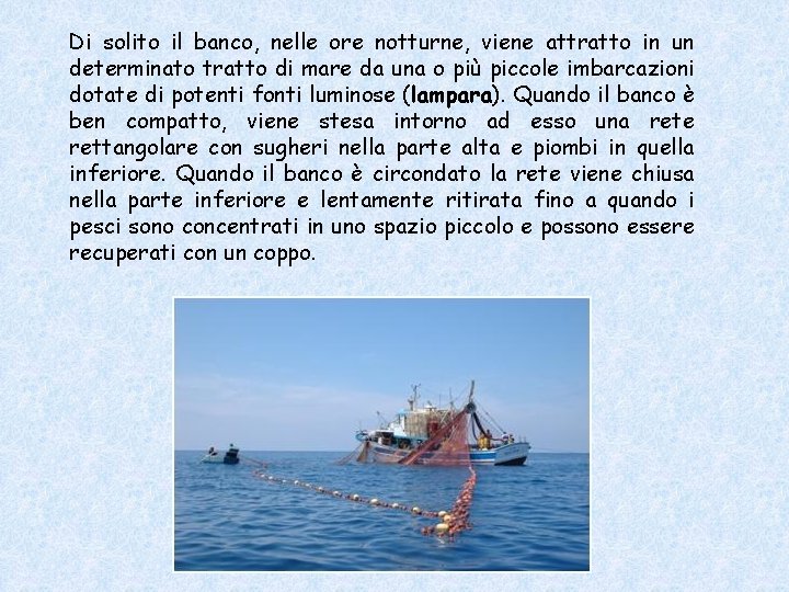 Di solito il banco, nelle ore notturne, viene attratto in un determinato tratto di Di solito il banco, nelle ore notturne, viene attratto in un determinato tratto di