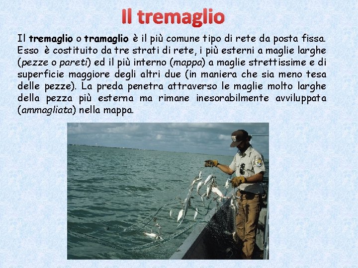 Il tremaglio o tramaglio è il più comune tipo di rete da posta fissa. Il tremaglio o tramaglio è il più comune tipo di rete da posta fissa.