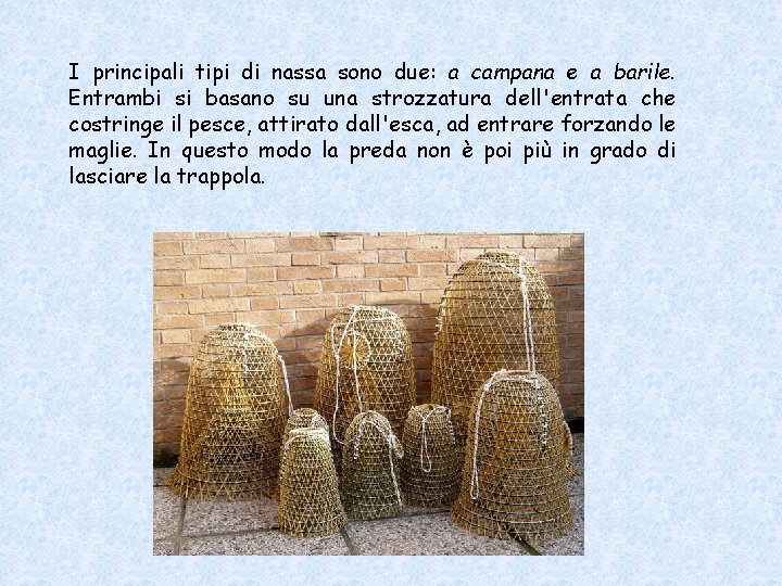 I principali tipi di nassa sono due: a campana e a barile. Entrambi si I principali tipi di nassa sono due: a campana e a barile. Entrambi si
