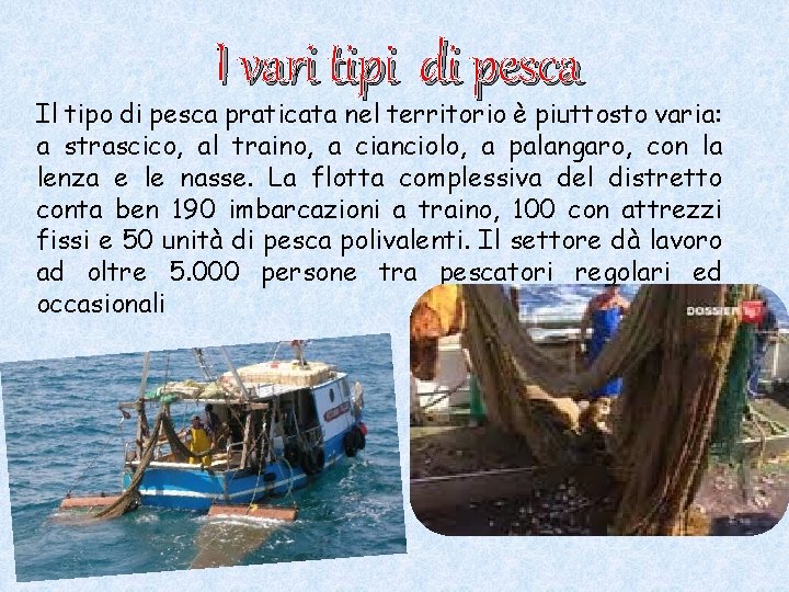 I vari tipi di pesca Il tipo di pesca praticata nel territorio è piuttosto I vari tipi di pesca Il tipo di pesca praticata nel territorio è piuttosto
