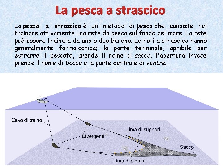 La pesca a strascico è un metodo di pesca che consiste nel trainare attivamente La pesca a strascico è un metodo di pesca che consiste nel trainare attivamente