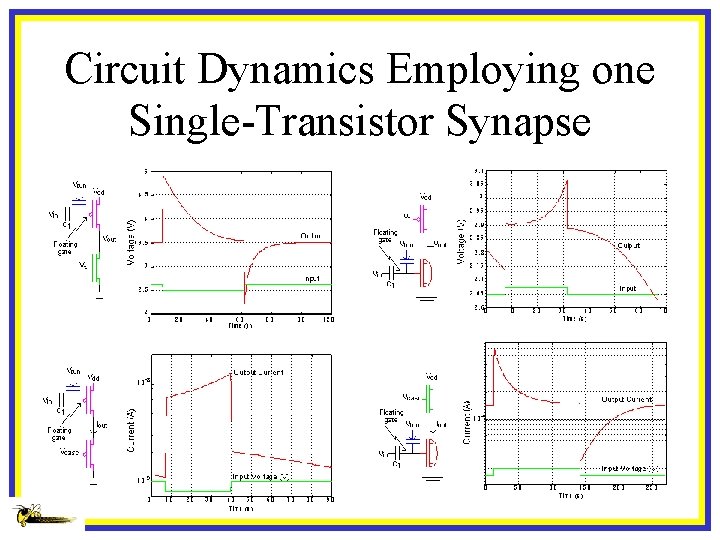 Circuit Dynamics Employing one Single-Transistor Synapse 