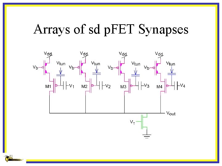 Arrays of sd p. FET Synapses 