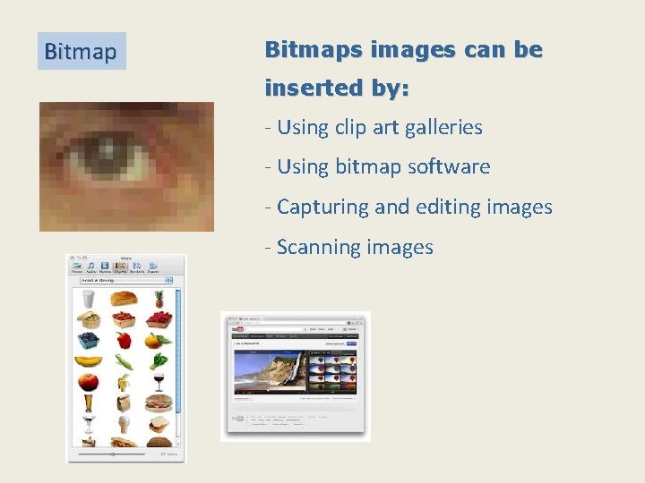 Bitmaps images can be inserted by: - Using clip art galleries - Using bitmap