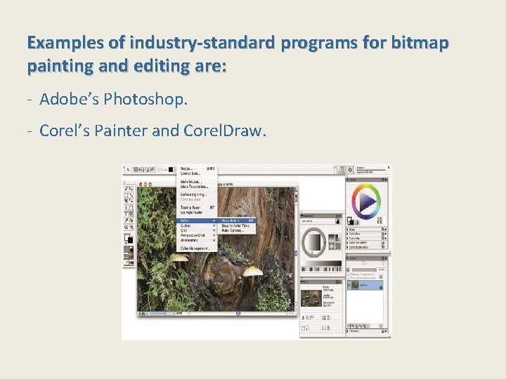 Examples of industry-standard programs for bitmap painting and editing are: - Adobe’s Photoshop. -