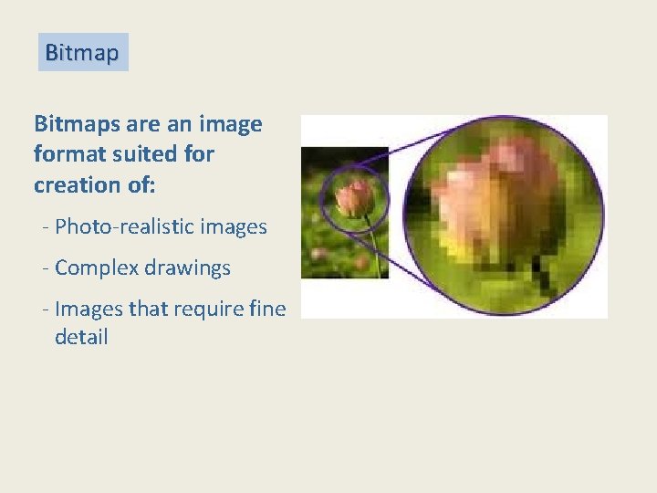 Bitmaps are an image format suited for creation of: - Photo-realistic images - Complex