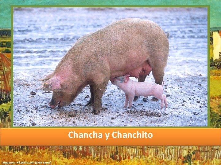 Chancha y Chanchito Imagen en wikipedia. com (Scott Bauer) 