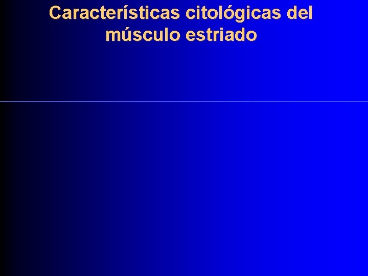 Características citológicas del músculo estriado 